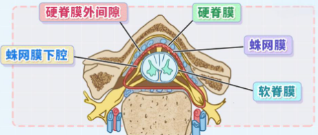 邵陽創(chuàng)傷骨科,邵陽風(fēng)濕病區(qū),邵陽骨質(zhì)增生,邵陽關(guān)節(jié)病區(qū),邵陽頸椎病區(qū)