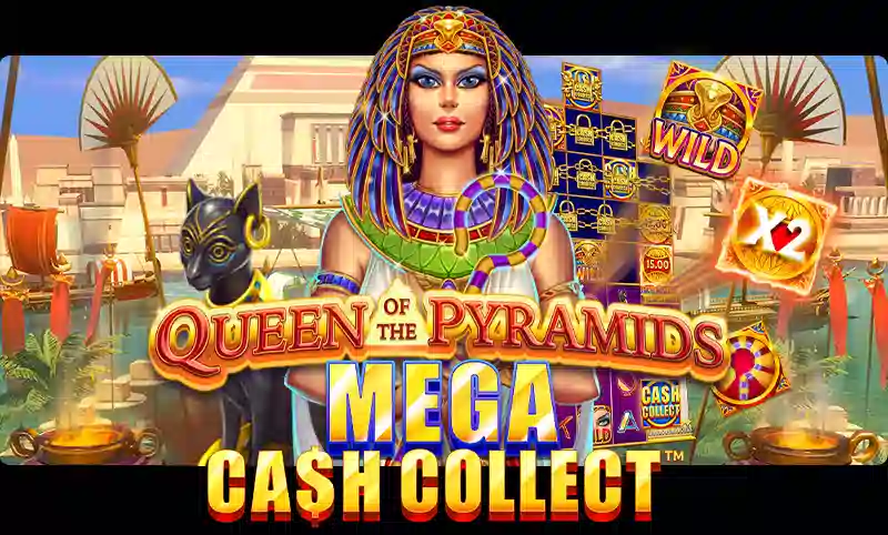 Mega Cash Collect